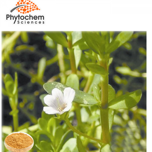 Bacopa Leaf Extract