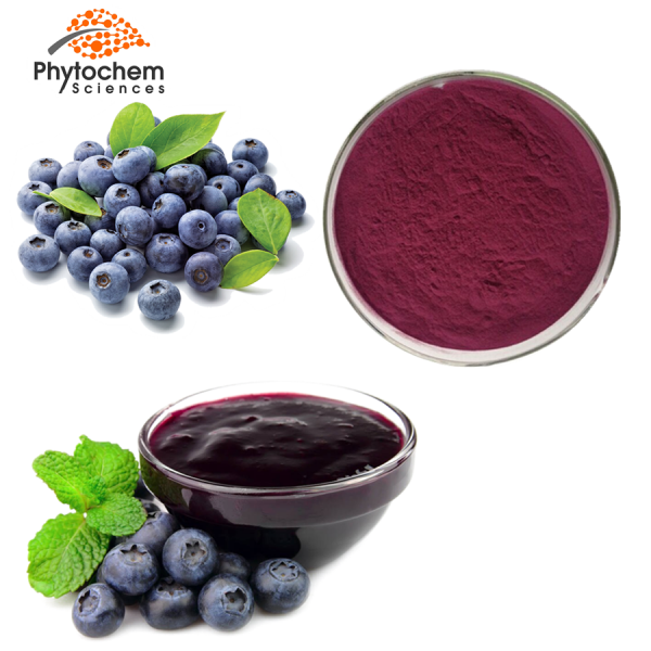 Blue berry extract powder