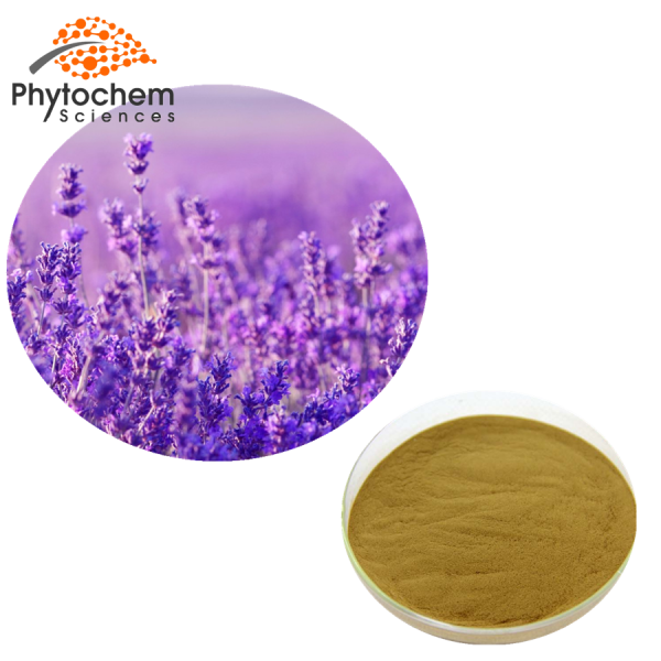 Lavender extract powder