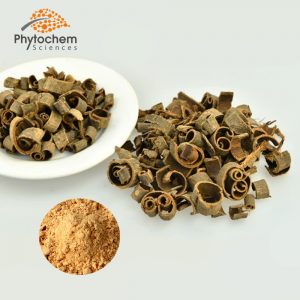 Magnolia bark extract powder