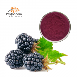Mulberry fruit extract