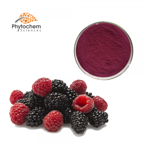 Mulberry fruit extract powder