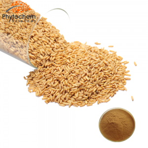 Oat Extract Powder Supplement Benefits For Anti-aging