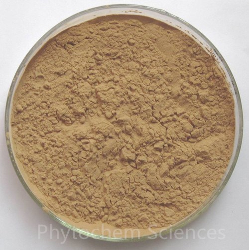 Olive leaf extract powder