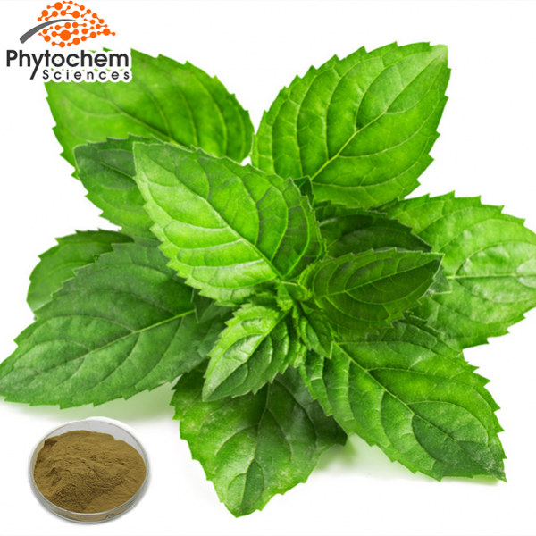 Peppermint extract powder