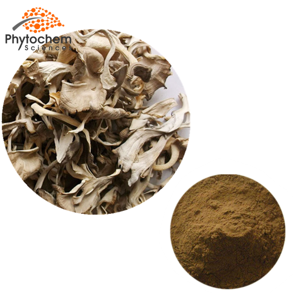 maitake mushroom powder extract