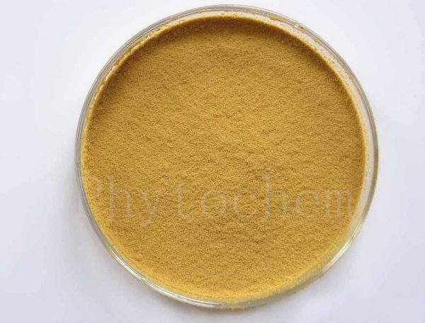 red ginseng extract