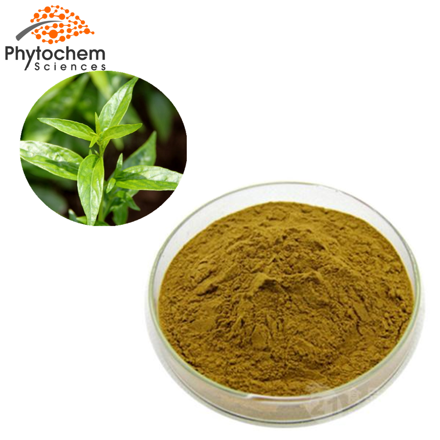 andrographis paniculata leaf extract