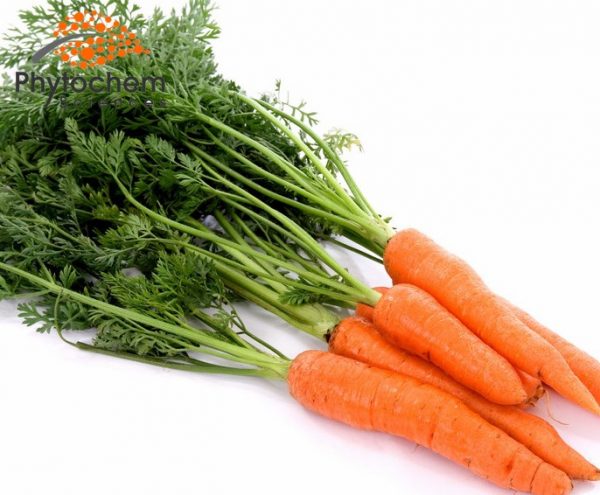 beta carotene in carrots
