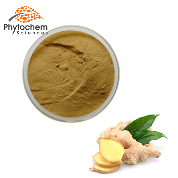 organic ginger extract