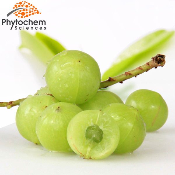 phyllanthus emblica fruit extract