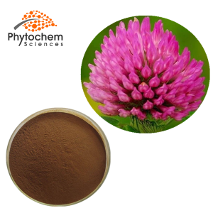 red clover flower extract
