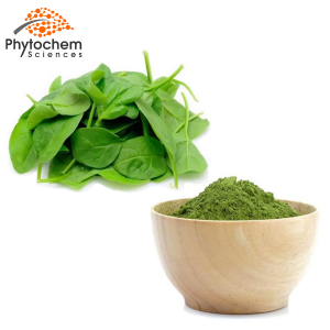 spinach extract