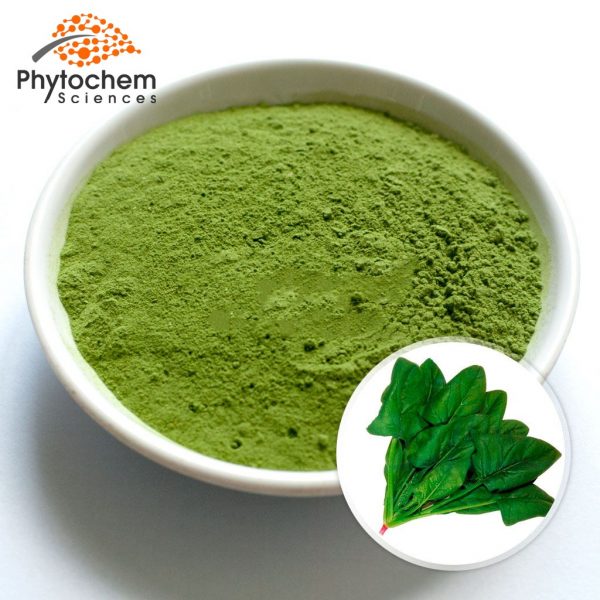 spinach powder extract