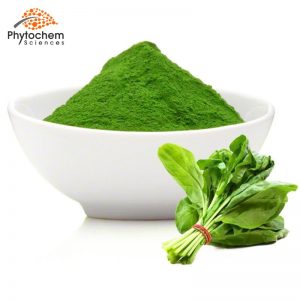 spinach extract for weight loss