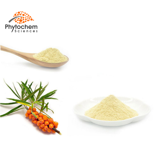 Sea buckthorn extract is widely used in food processing and medicine