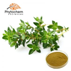 thyme extract