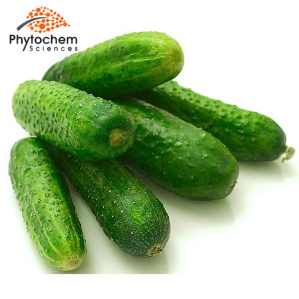 Cucumber Extract Benefits