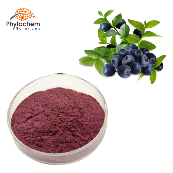 acai berry powder supplement