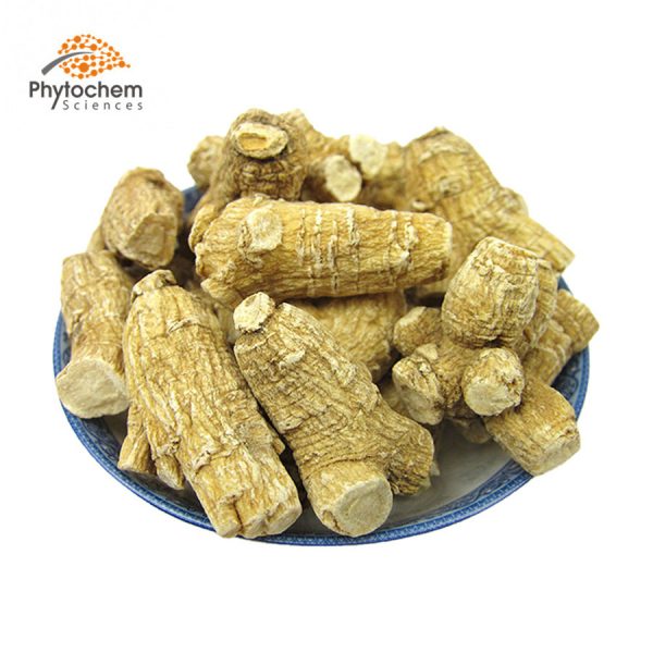 american ginseng extract benefits
