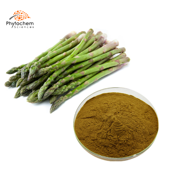 asparagus officinalis extract powder