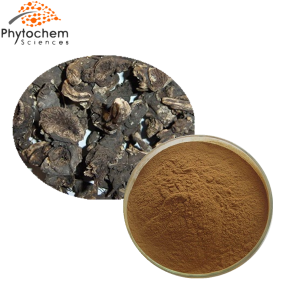 black cohosh extract powder