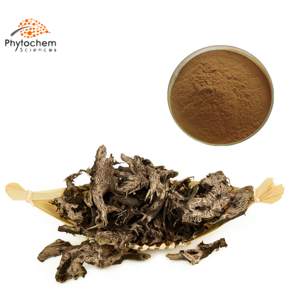 black cohosh root extract