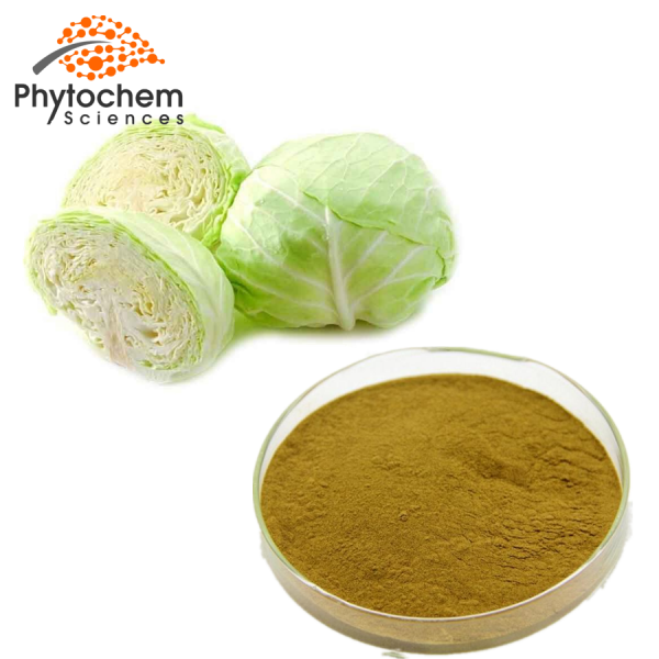 cabbage extract