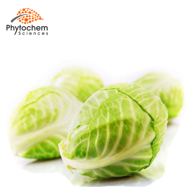 cabbage extract supplement