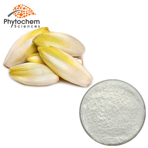 chicory root extract
