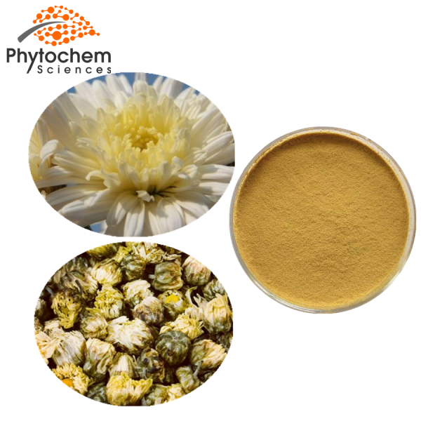 chrysanthemum extract benefits
