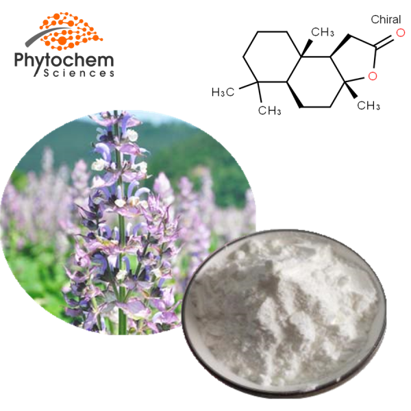 clary sage extract powder