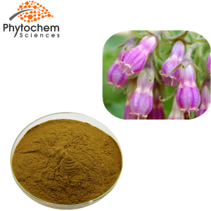comfrey leaf extract