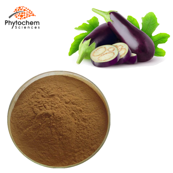 eggplant extract for skin cancer
