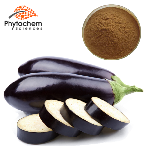 eggplant extract for skin cancer