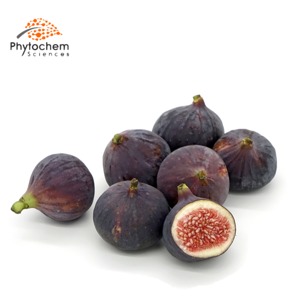 fig extract benefits