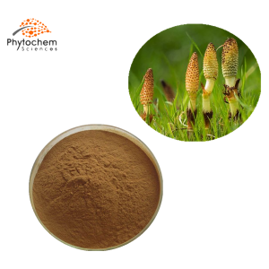 horsetail extract silica