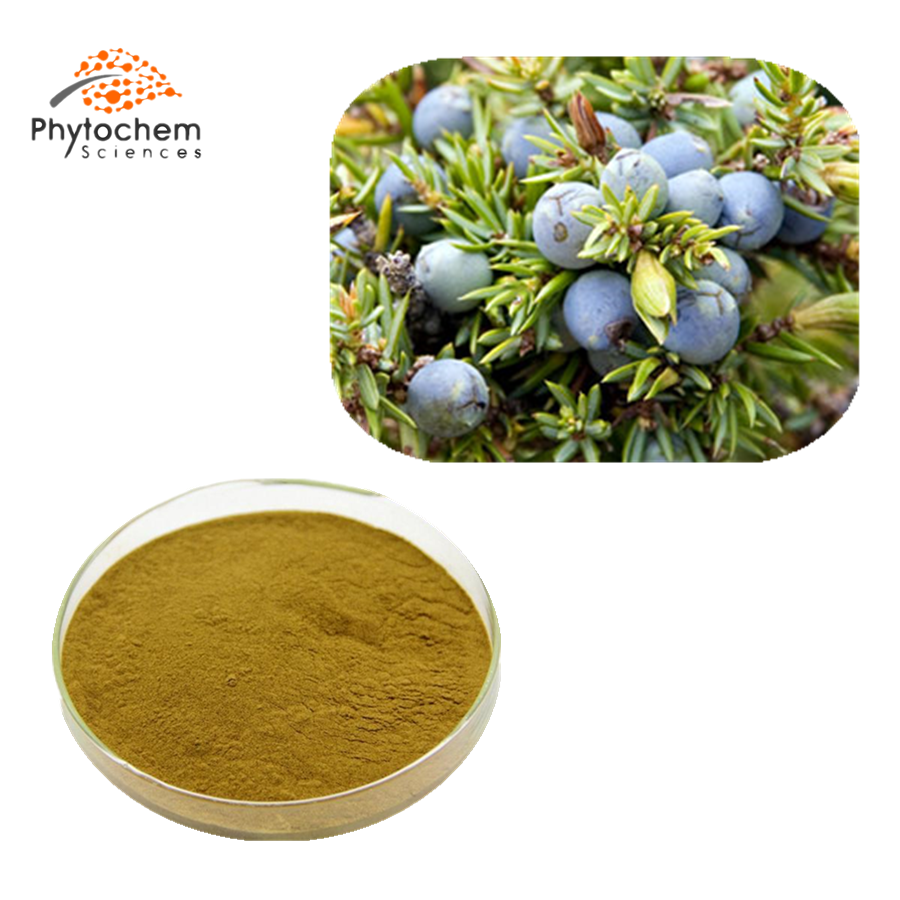 juniper berry powder extract