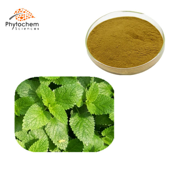 melissa officinalis leaf extract
