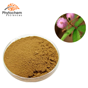 mimosa pudica extract
