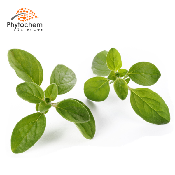 oregano leaf extract benefits