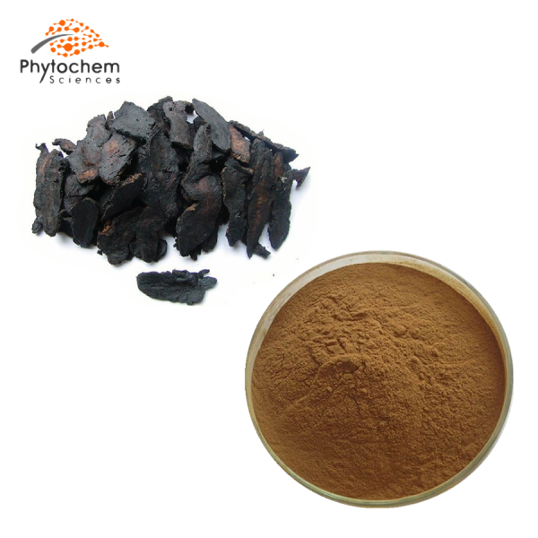 prepared rehmannia powder extract