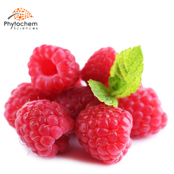 raspberry extract benefits