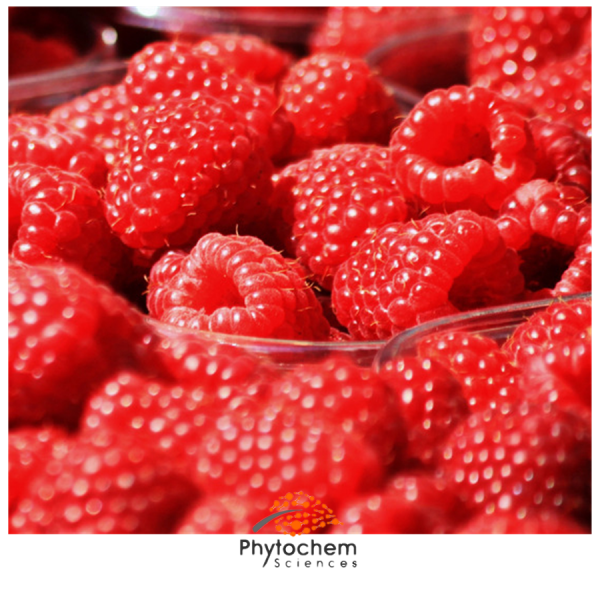 raspberry extract supplement