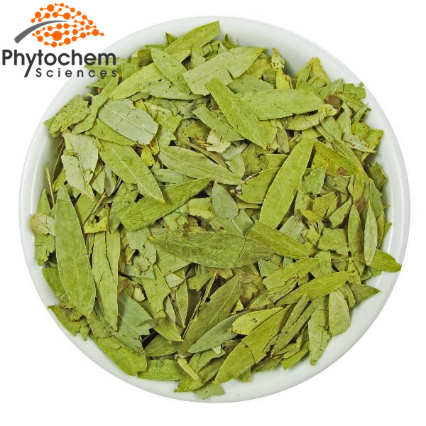 senna leaf extract supplement